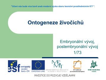 Ontogeneze Å¾ivoÄichÅ¯, embryonÃ¡lnÃ­ vÃ½voj ... - Projekt EU