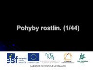 Pohyby rostlin - Projekt EU