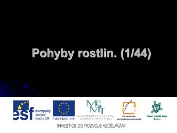 Pohyby rostlin - Projekt EU