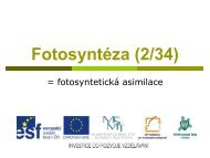 FotosyntÃ©za (2/34) - Projekt EU