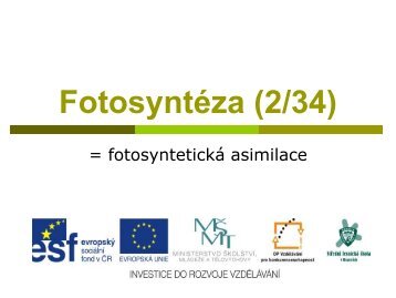 FotosyntÃ©za (2/34) - Projekt EU