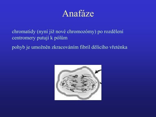 ZÃ¡klady genetiky - Projekt EU