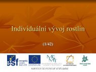 IndividuÃ¡lnÃ­ vÃ½voj rostlin - Projekt EU