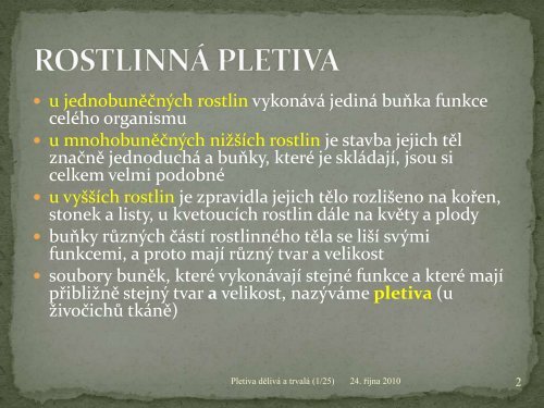 RostlinnÃ¡ pletiva - Projekt EU