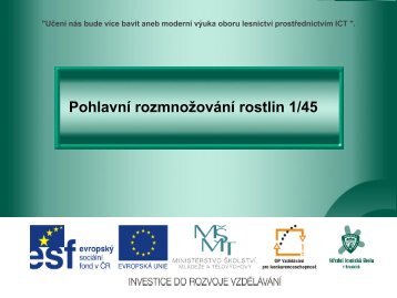 PohlavnÃ­ rozmnoÅ¾ovÃ¡nÃ­ rostlin - Projekt EU