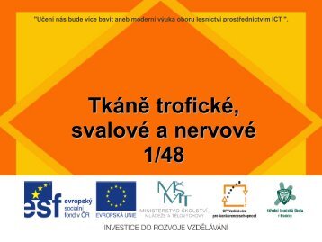 TkÃ¡nÄ trofickÃ©, svalovÃ© a nervovÃ© - Projekt EU