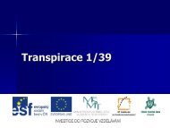 Transpirace 1/39 - Projekt EU