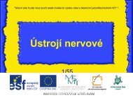 ÃstrojÃ­ nervovÃ© - Projekt EU