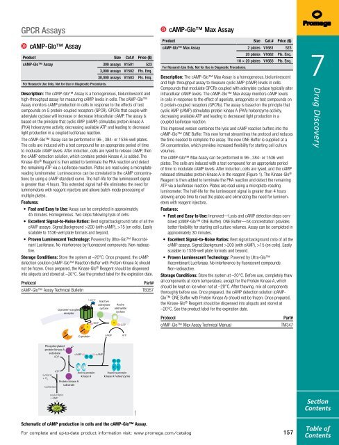 2013 Promega catalogue