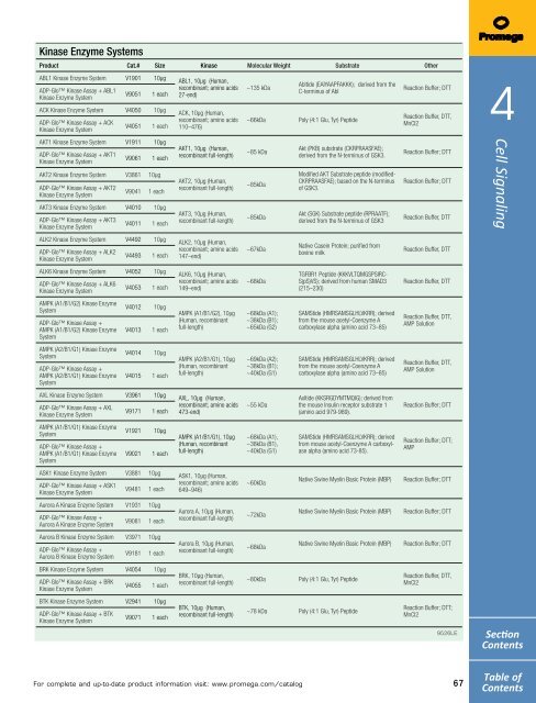 2013 Promega catalogue