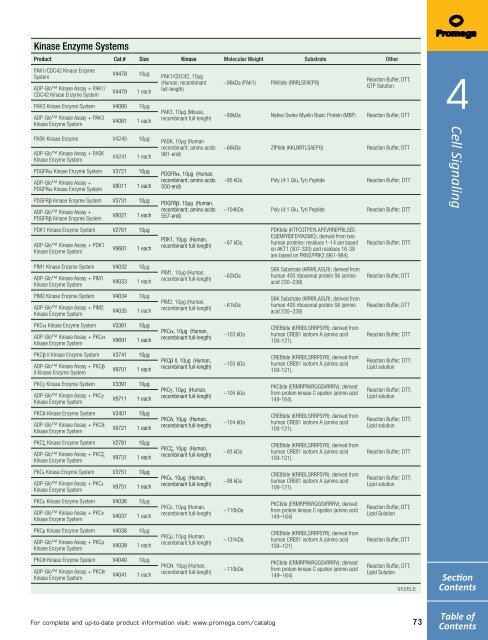 2013 Promega catalogue