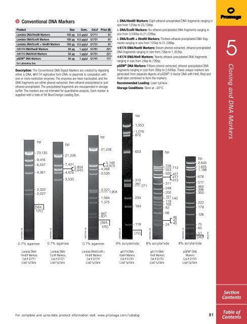 2013 Promega catalogue