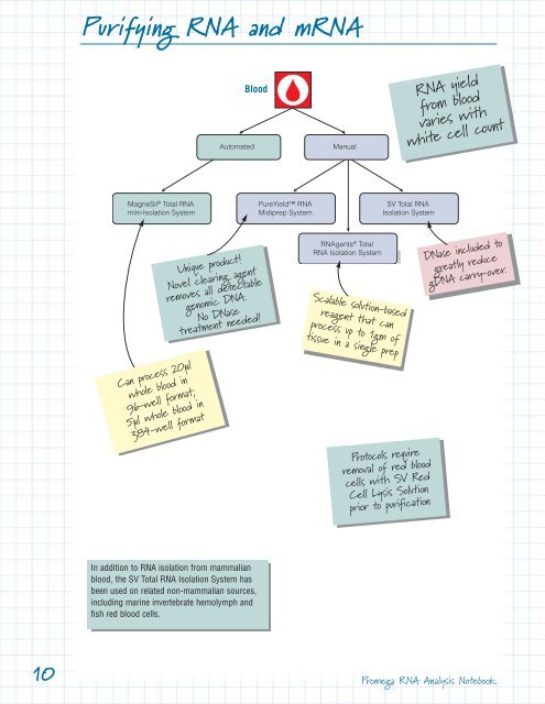 RNA Guide: Purifying RNA and mRNA - Promega