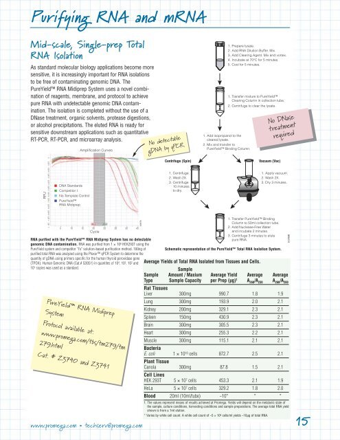 RNA Guide: Purifying RNA and mRNA - Promega