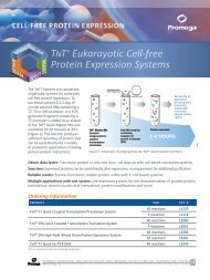 TNTÂ® Eukarayotic Cell-free Protein Expression Systems - Promega