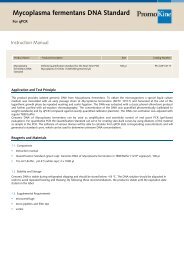 Mycoplasma fermentans DNA Standard - PromoCell