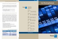 Gel Electrophoresis - PromoCell