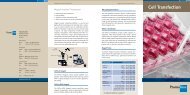 Cell Transfection - PromoCell