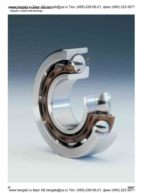 Rolling bearings in electric motors and generators