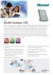 WLAN Outdoor CPE - PRORAM