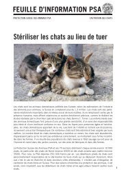 Feuille d'information PSA: Castration des chats - Protection Suisse ...