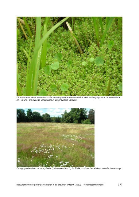 Natuurontwikkeling door particulieren in de provincie Utrecht ...