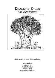 Der Drachenbaum, Dracaena draco - Provings.info