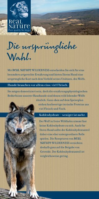 Real Nature Wilderness Hund