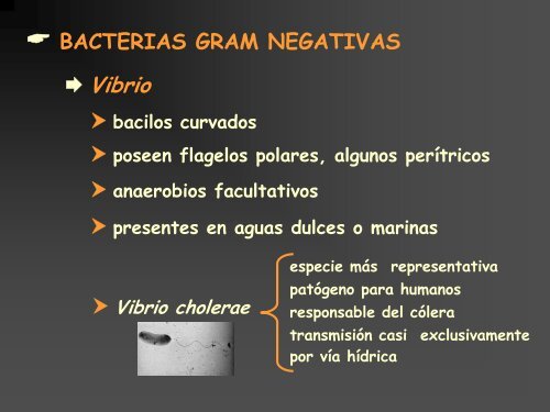 Conceptos bÃ¡sicos de microbiologÃ­a de aguas