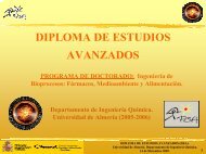 DIPLOMA DE ESTUDIOS AVANZADOS - Plataforma Solar de AlmerÃ­a