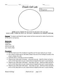 Cheek Cell Lab