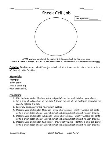 Cheek Cell Lab