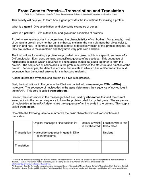 √ Transcription And Translation Dna Coloring - Dna - Dna transcription