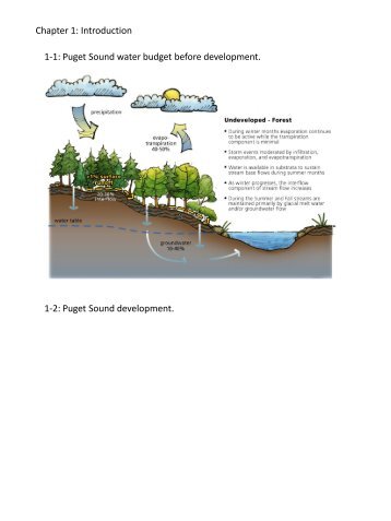 Draft graphics - Puget Sound Partnership