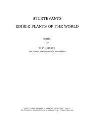 sturtevants edible plants of the world - Pole Shift Survival Information