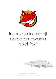 3. Licencja pixel-fox - dhs