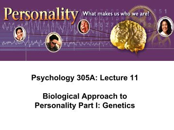 Psychology 305A: Lecture 11 Biological Approach to Personality ...