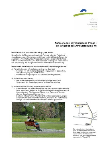 Aufsuchende Psychiatrische Pflege (APP) (765 kB, PDF)