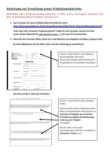 Anleitung Formular Praktikumsbericht