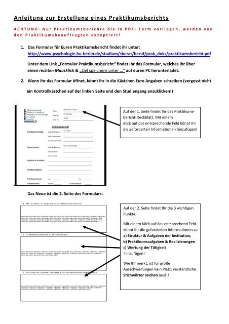 Anleitung Formular Praktikumsbericht