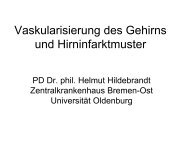 Vaskularisierung des Gehirns.pdf - UniversitÃ¤t Oldenburg