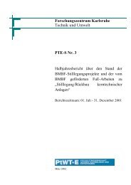 PTE-S Nr. 3 Forschungszentrum Karlsruhe Technik und ... - PTKA