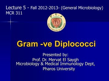 Neisseria gonorrhoeae - Pharos University in Alexandria