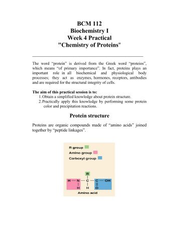 BCM 112 Biochemistry I Week 4 Practical "Chemistry of Proteins"