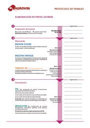 ELABORACION DE TINTOS JOVENES - Agrovin