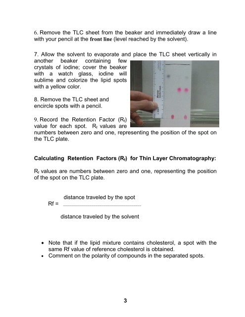 BCM 112 BIOCHEMISTRY I âThin-Layer chromatography (TLC)â