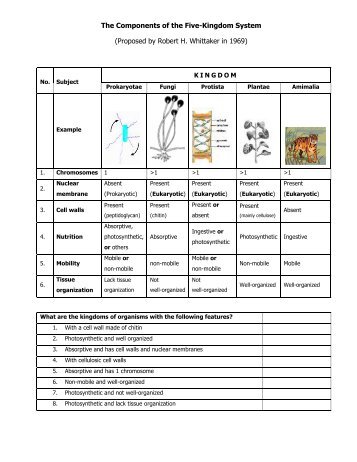 The Components of the Five-Kingdom System (Proposed by Robert ...