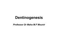 Dentinogenesis