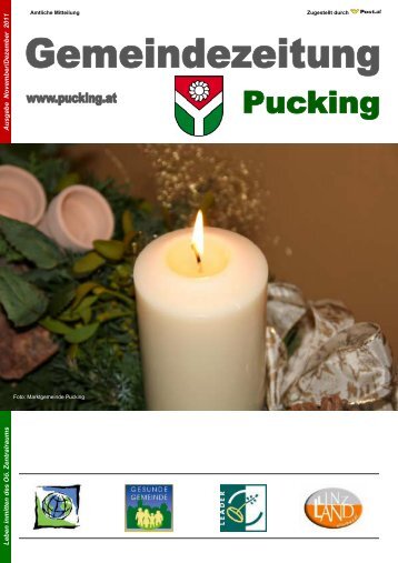 PDF - Gemeinde Pucking