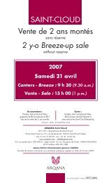 Vente de 2 ans montés 2 y-o Breeze-up sale - Arqana